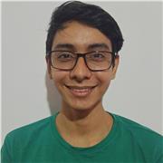 Clases virtuales en Lengua Castellana, lectura y pensamiento crítico